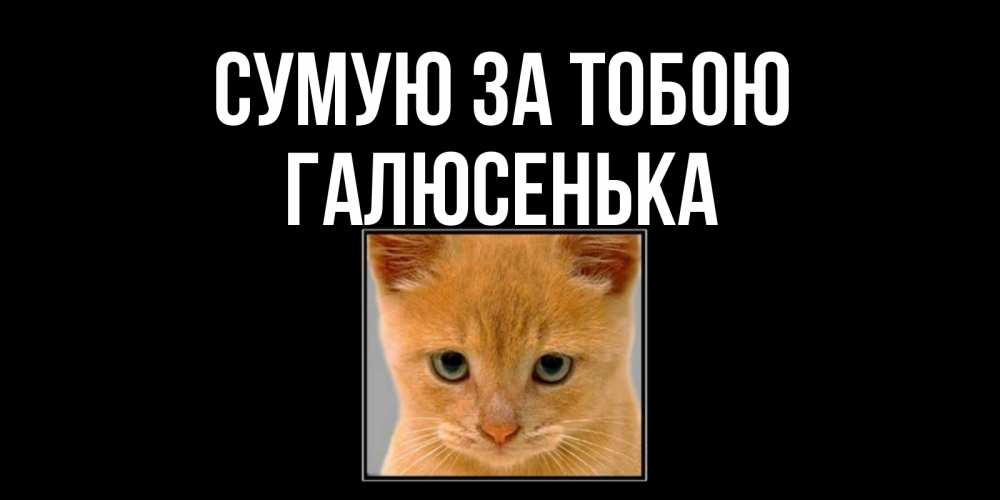 Открытка на каждый день з підписом, Галюсенька Сумую за тобою открытки рыжий котенок скучает по тебе Прикольна листівка з побажанням онлайн скачати безкоштовно 