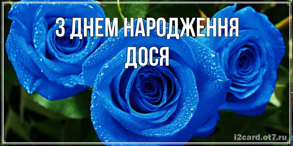 Открытка на каждый день з підписом, Дося З Днем народження розы с синим цветом Прикольна листівка з побажанням онлайн скачати безкоштовно 
