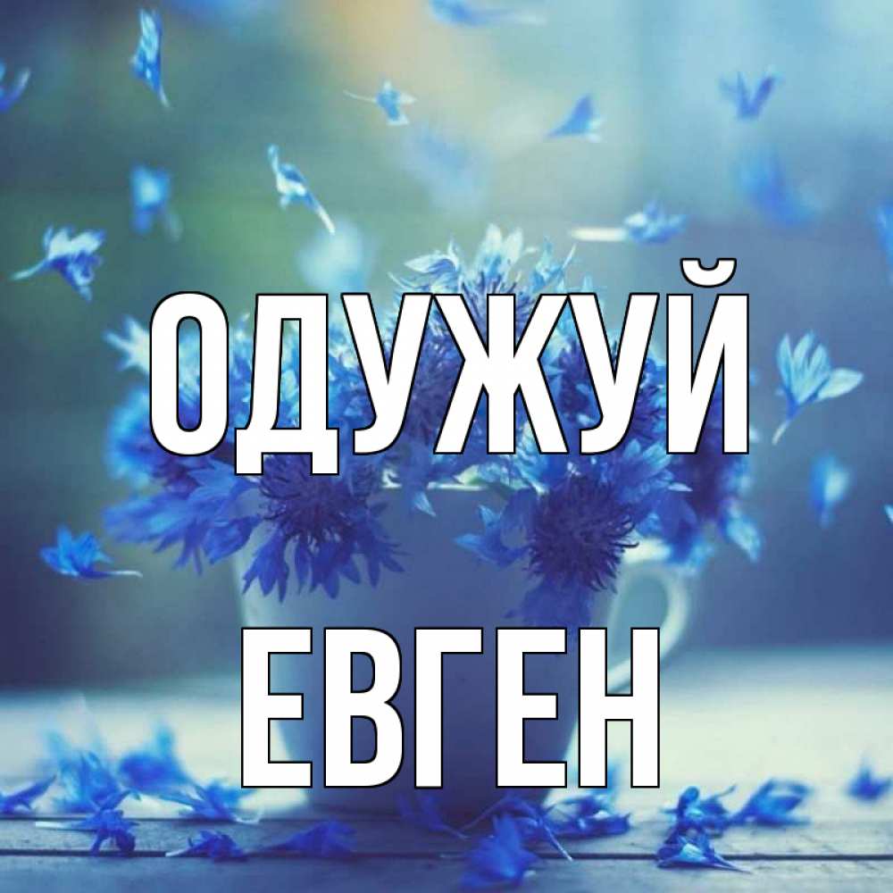Открытка на каждый день з підписом, Евген Одужуй кружка с зельем и цветами Прикольна листівка з побажанням онлайн скачати безкоштовно 