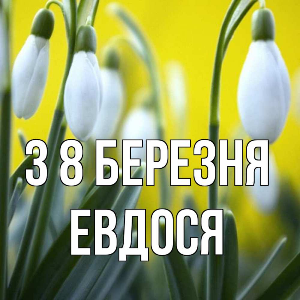 Открытка на каждый день з підписом, Евдося З 8 БЕРЕЗНЯ весенние цветы Прикольна листівка з побажанням онлайн скачати безкоштовно 
