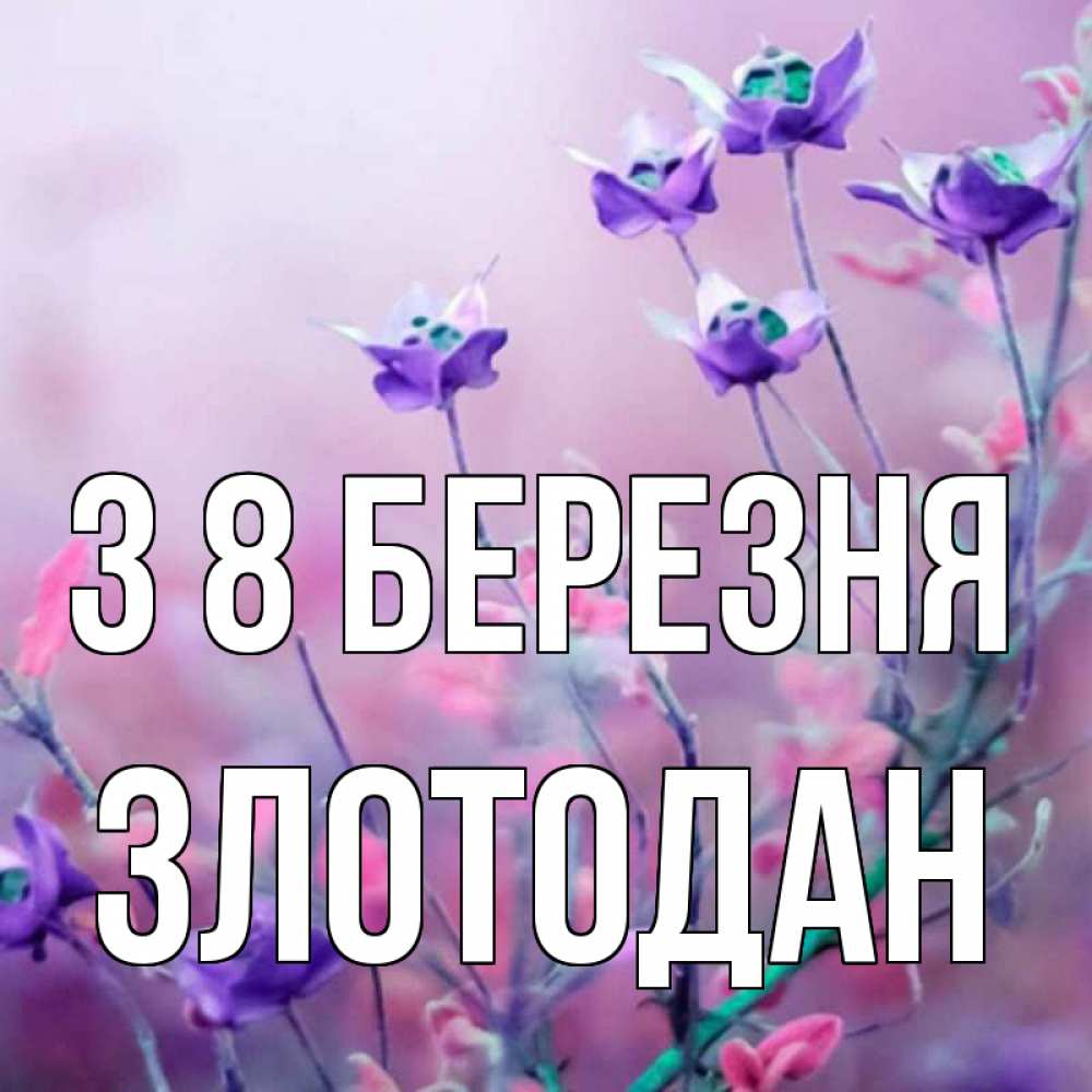 Открытка на каждый день з підписом, Злотодан З 8 БЕРЕЗНЯ международный женский день 2 Прикольна листівка з побажанням онлайн скачати безкоштовно 
