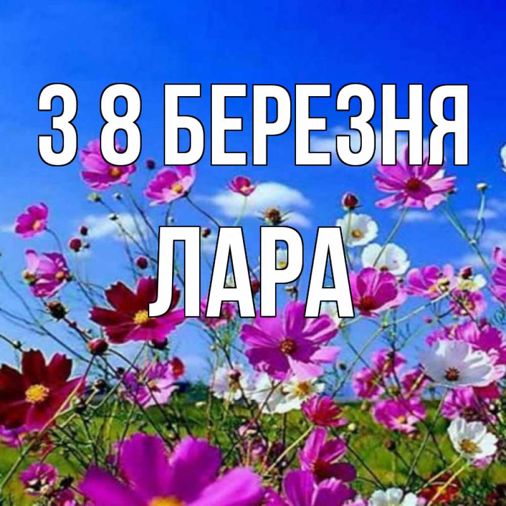 Открытка на каждый день з підписом, Лара З 8 БЕРЕЗНЯ цветы Прикольна листівка з побажанням онлайн скачати безкоштовно 