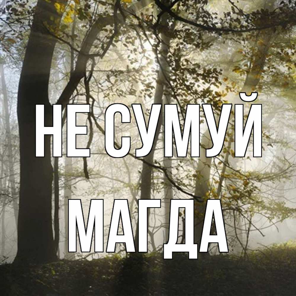 Открытка на каждый день з підписом, Магда Не сумуй лес и свет Прикольна листівка з побажанням онлайн скачати безкоштовно 