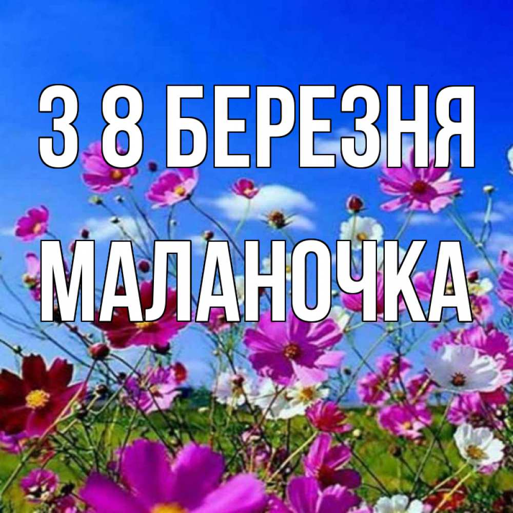 Открытка на каждый день з підписом, Маланочка З 8 БЕРЕЗНЯ цветы Прикольна листівка з побажанням онлайн скачати безкоштовно 