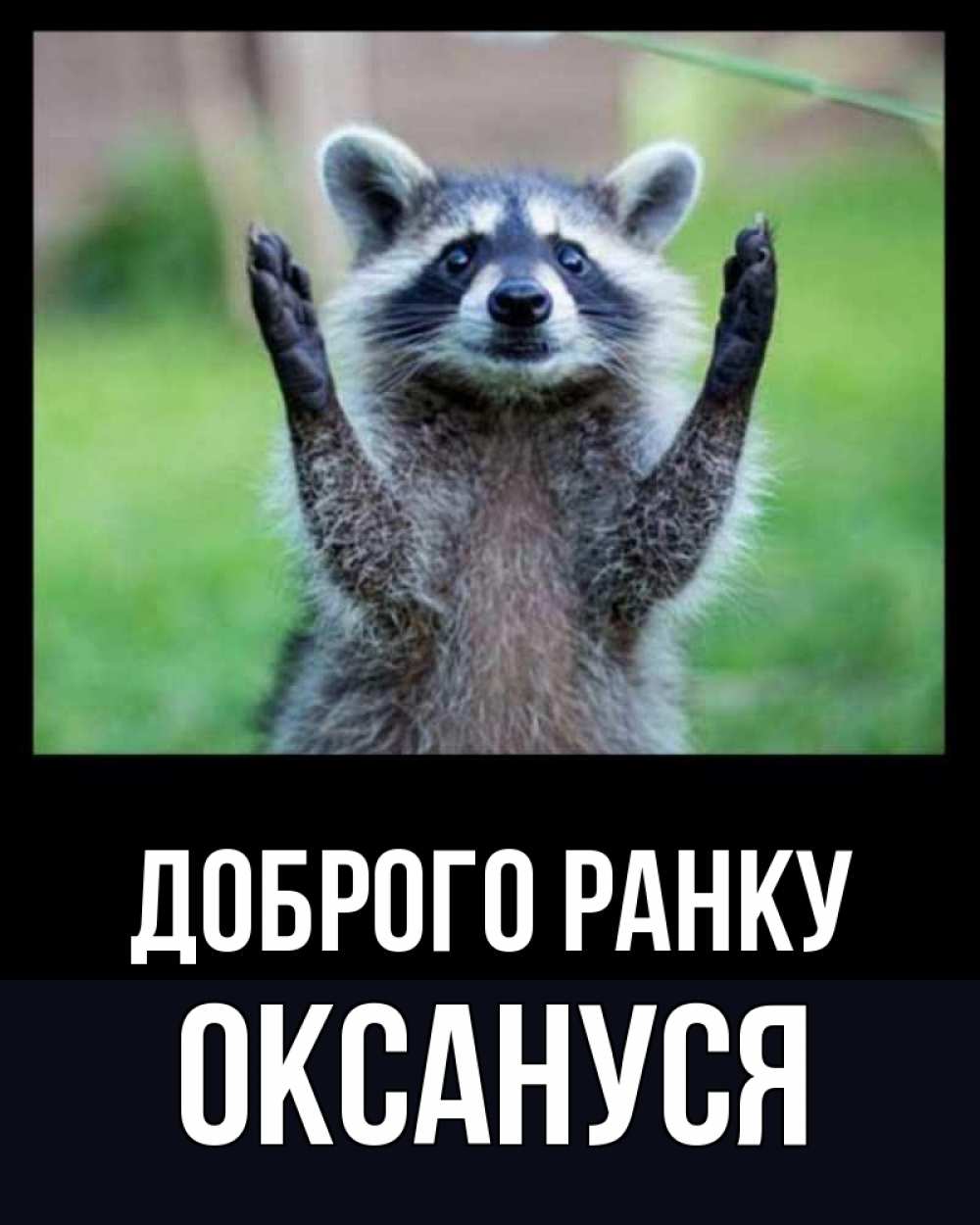 Открытка на каждый день з підписом, Оксануся Доброго ранку хорошее настроение утречком Прикольна листівка з побажанням онлайн скачати безкоштовно 