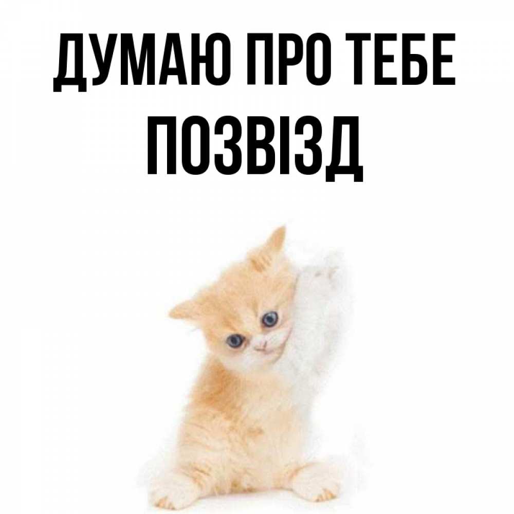 Открытка на каждый день з підписом, Позвізд Думаю про тебе зверушки и милота Прикольна листівка з побажанням онлайн скачати безкоштовно 