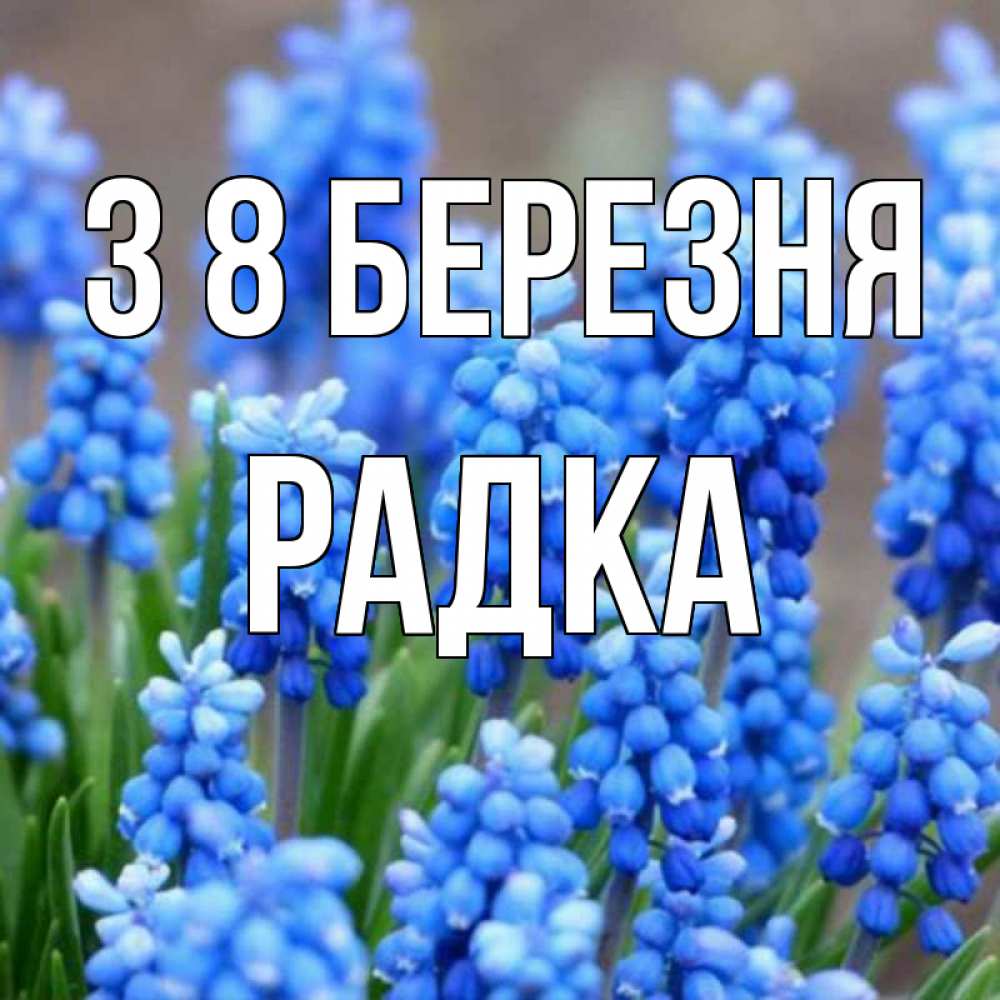 Открытка на каждый день з підписом, Радка З 8 БЕРЕЗНЯ Поздравительная открытка для женщин с цветами на праздничную дату Прикольна листівка з побажанням онлайн скачати безкоштовно 
