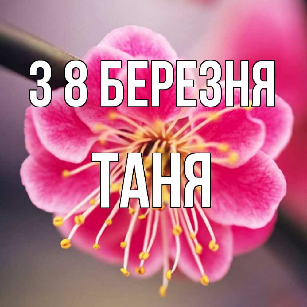 Открытка на каждый день з підписом, Таня З 8 БЕРЕЗНЯ цветы Прикольна листівка з побажанням онлайн скачати безкоштовно 