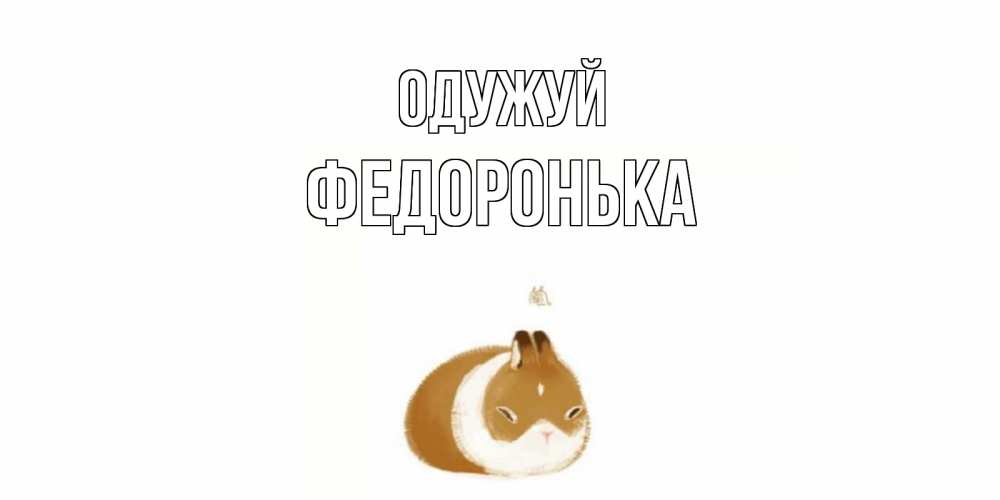 Открытка на каждый день з підписом, Федоронька Одужуй морская свинка на открытке с пожеланиями не болеть Прикольна листівка з побажанням онлайн скачати безкоштовно 