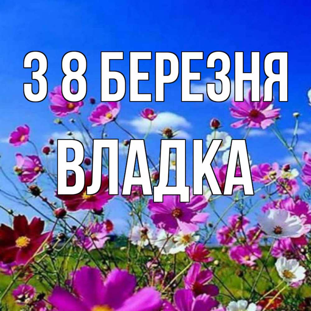 Открытка на каждый день з підписом, Владка З 8 БЕРЕЗНЯ цветы Прикольна листівка з побажанням онлайн скачати безкоштовно 