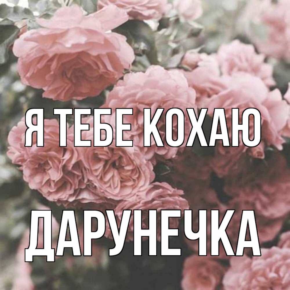 Открытка на каждый день з підписом, Дарунечка Я тебе кохаю розы 3 Прикольна листівка з побажанням онлайн скачати безкоштовно 