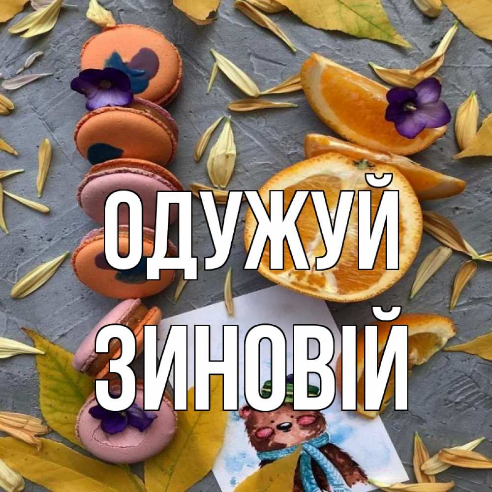 Открытка на каждый день з підписом, Зиновій Одужуй не болейте Прикольна листівка з побажанням онлайн скачати безкоштовно 