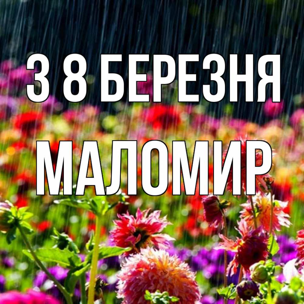 Открытка на каждый день з підписом, Маломир З 8 БЕРЕЗНЯ цветы под дождиком к международному женскому дню Прикольна листівка з побажанням онлайн скачати безкоштовно 