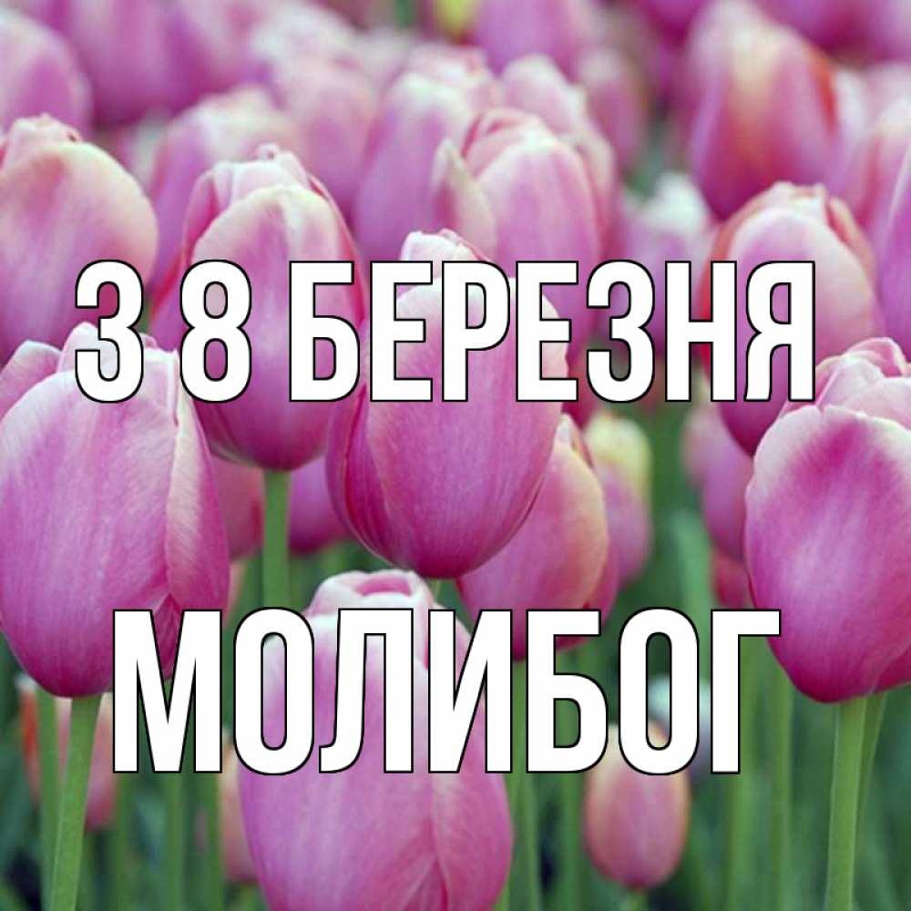 Открытка на каждый день з підписом, Молибог З 8 БЕРЕЗНЯ на международный женский день 3 Прикольна листівка з побажанням онлайн скачати безкоштовно 
