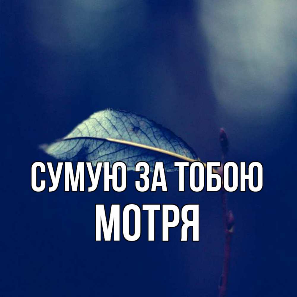 Открытка на каждый день з підписом, Мотря Сумую за тобою одна ветка 1 Прикольна листівка з побажанням онлайн скачати безкоштовно 