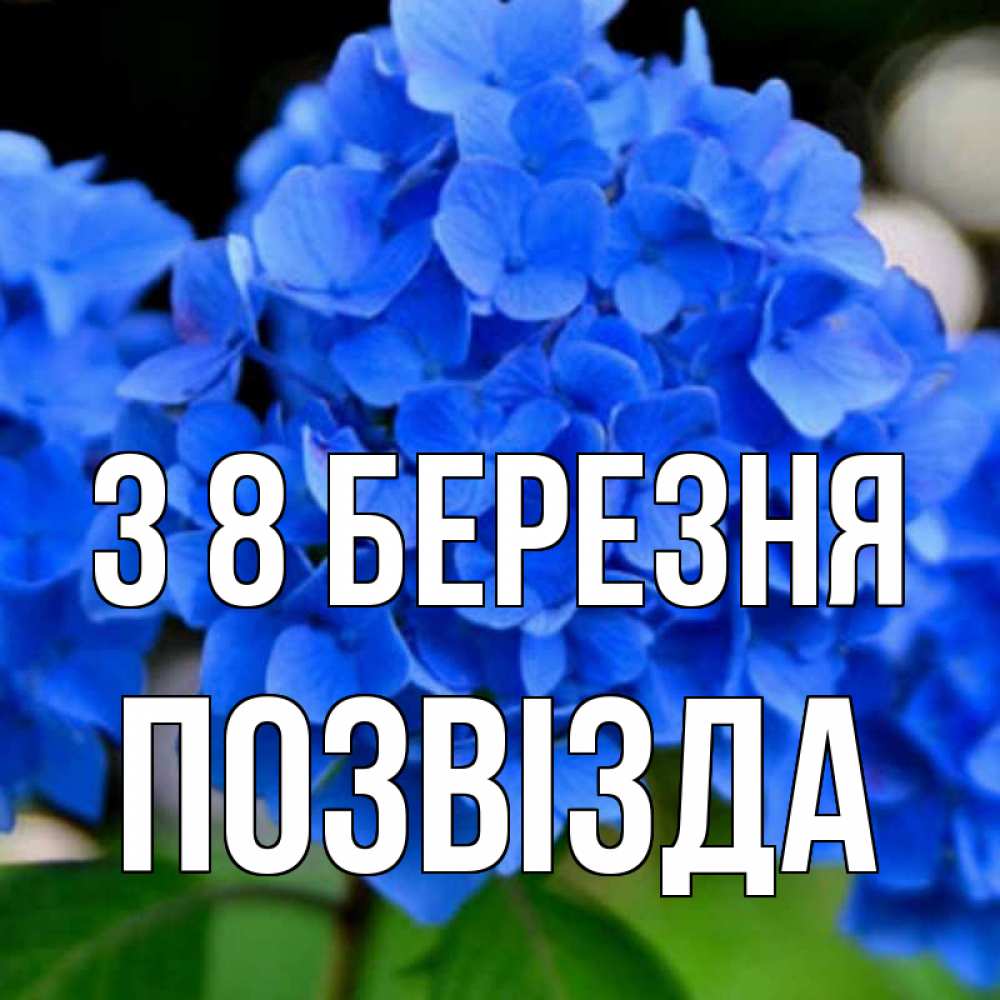 Открытка на каждый день з підписом, Позвізда З 8 БЕРЕЗНЯ синие цветы Прикольна листівка з побажанням онлайн скачати безкоштовно 