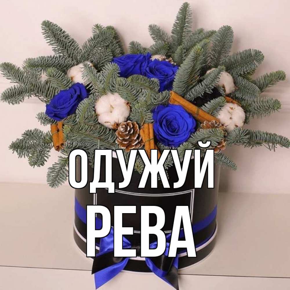 Открытка на каждый день з підписом, Рева Одужуй короче кто то загрузил эти шишки Прикольна листівка з побажанням онлайн скачати безкоштовно 