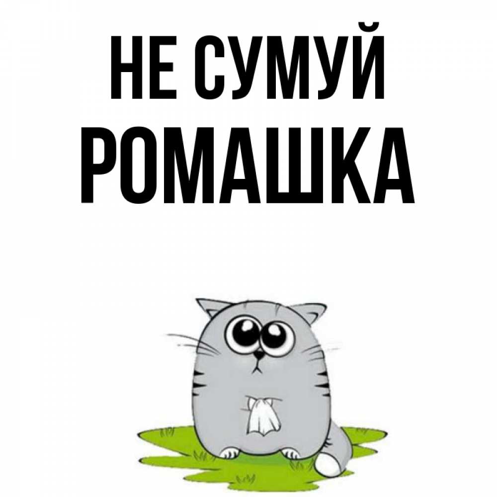 Открытка на каждый день з підписом, Ромашка Не сумуй грустный котяра Прикольна листівка з побажанням онлайн скачати безкоштовно 