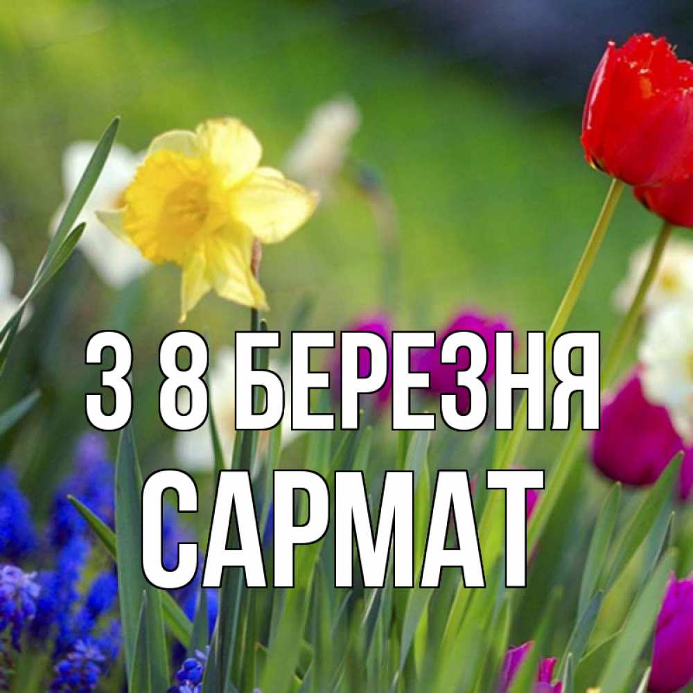 Открытка на каждый день з підписом, Сармат З 8 БЕРЕЗНЯ международный женский день 3 Прикольна листівка з побажанням онлайн скачати безкоштовно 