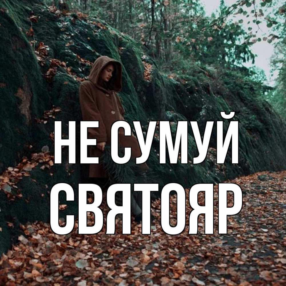Открытка на каждый день з підписом, Святояр Не сумуй осенний лес Прикольна листівка з побажанням онлайн скачати безкоштовно 