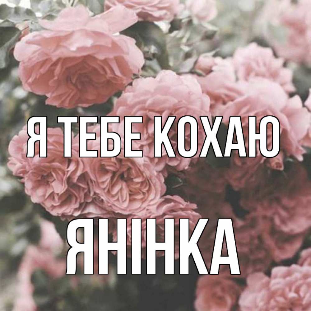 Открытка на каждый день з підписом, Янінка Я тебе кохаю розы 3 Прикольна листівка з побажанням онлайн скачати безкоштовно 