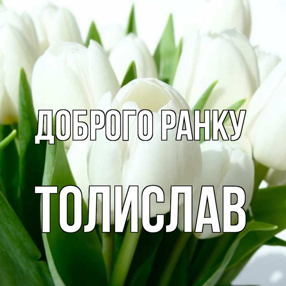 Открытка на каждый день з підписом, Толислав Доброго ранку открытки на каждый день по именам Прикольна листівка з побажанням онлайн скачати безкоштовно 