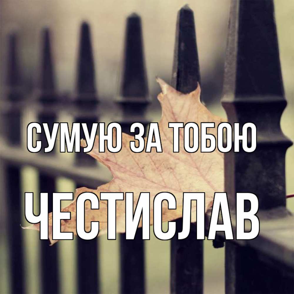 Открытка на каждый день з підписом, Честислав Сумую за тобою очень скучно Прикольна листівка з побажанням онлайн скачати безкоштовно 