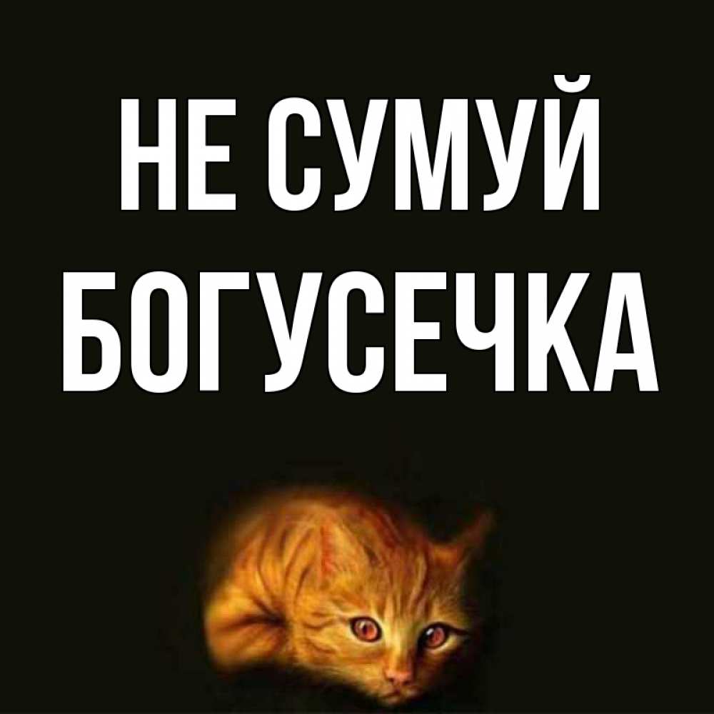 Открытка на каждый день з підписом, Богусечка Не сумуй лежащий кот в темноте Прикольна листівка з побажанням онлайн скачати безкоштовно 