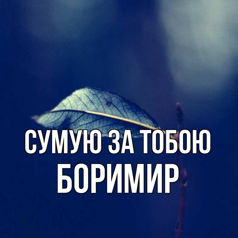 Открытка на каждый день з підписом, Боримир Сумую за тобою одна ветка 1 Прикольна листівка з побажанням онлайн скачати безкоштовно 
