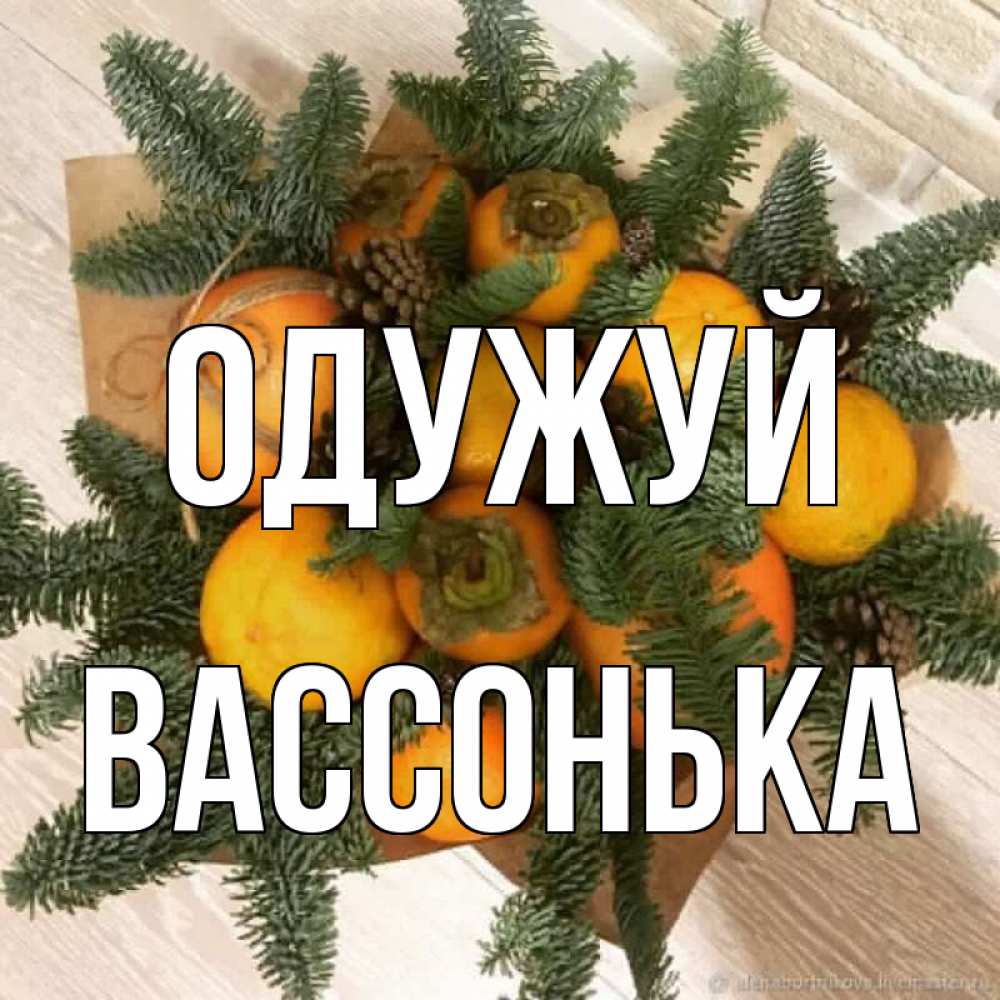 Открытка на каждый день з підписом, Вассонька Одужуй апельсины и хурьма Прикольна листівка з побажанням онлайн скачати безкоштовно 