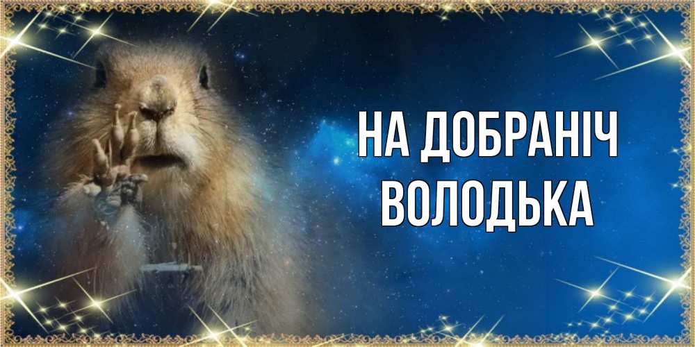 Открытка на каждый день з підписом, Володька На добраніч спокойной ночи сладких снов Прикольна листівка з побажанням онлайн скачати безкоштовно 