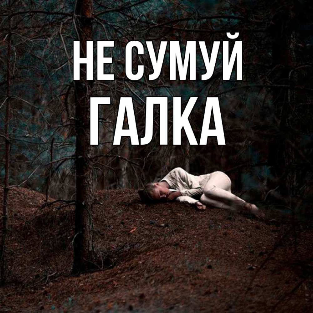 Открытка на каждый день з підписом, Галка Не сумуй лес Прикольна листівка з побажанням онлайн скачати безкоштовно 