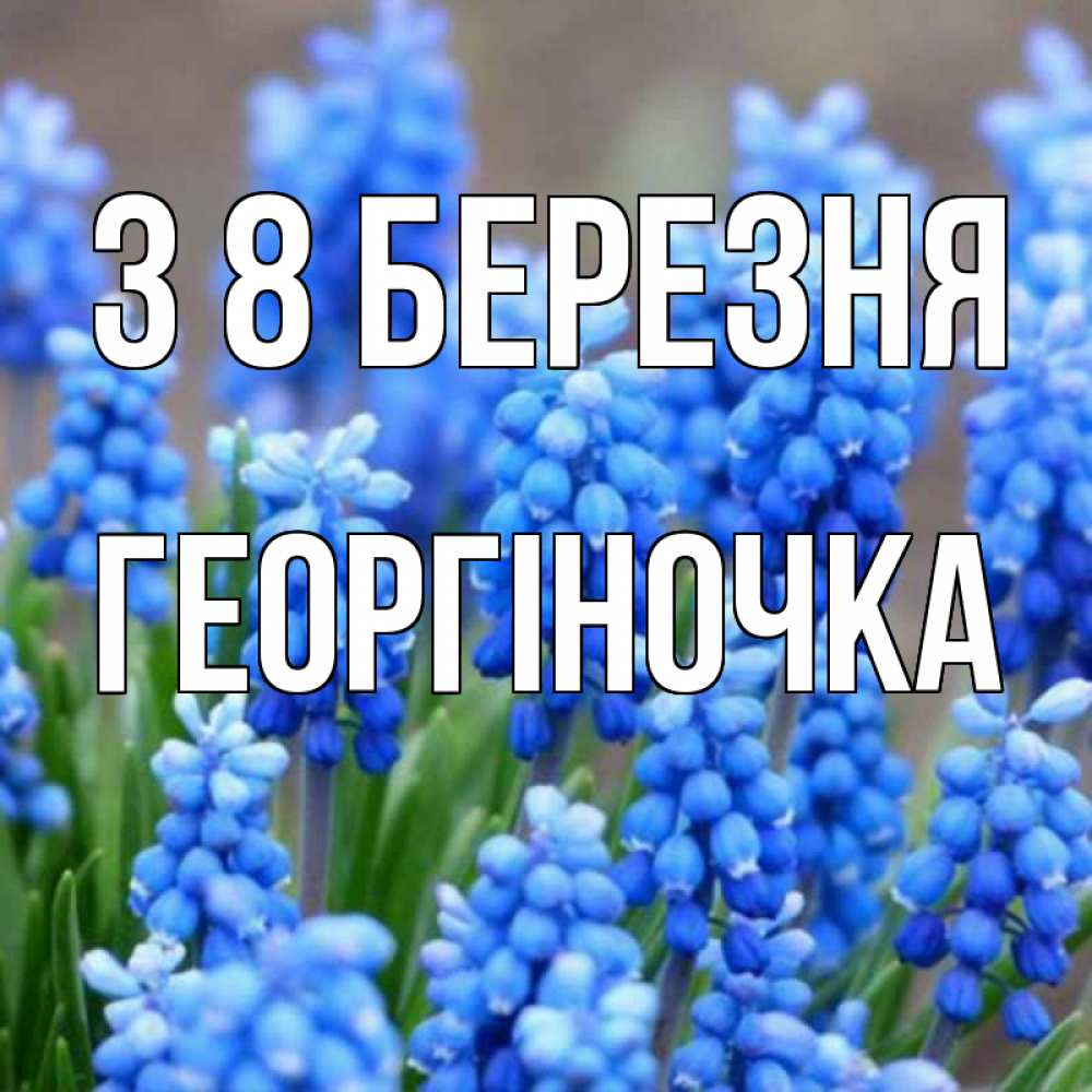 Открытка на каждый день з підписом, Георгіночка З 8 БЕРЕЗНЯ Поздравительная открытка для женщин с цветами на праздничную дату Прикольна листівка з побажанням онлайн скачати безкоштовно 
