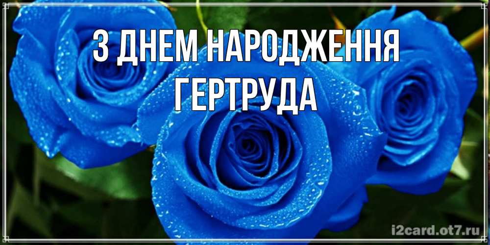Открытка на каждый день з підписом, Гертруда З Днем народження розы с синим цветом Прикольна листівка з побажанням онлайн скачати безкоштовно 