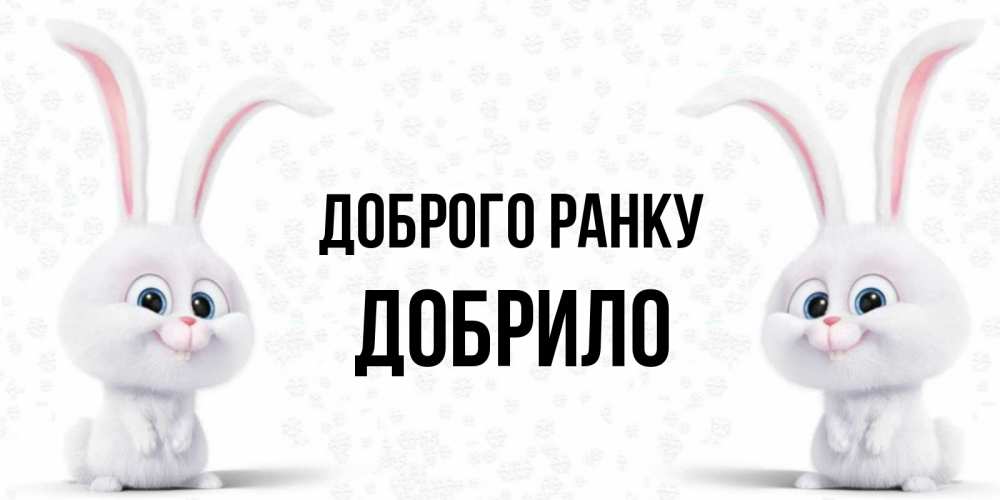 Открытка на каждый день з підписом, Добрило Доброго ранку кролики с длинными ушками Прикольна листівка з побажанням онлайн скачати безкоштовно 
