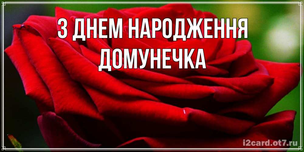 Открытка на каждый день з підписом, Домунечка З Днем народження розочка очень красивая Прикольна листівка з побажанням онлайн скачати безкоштовно 
