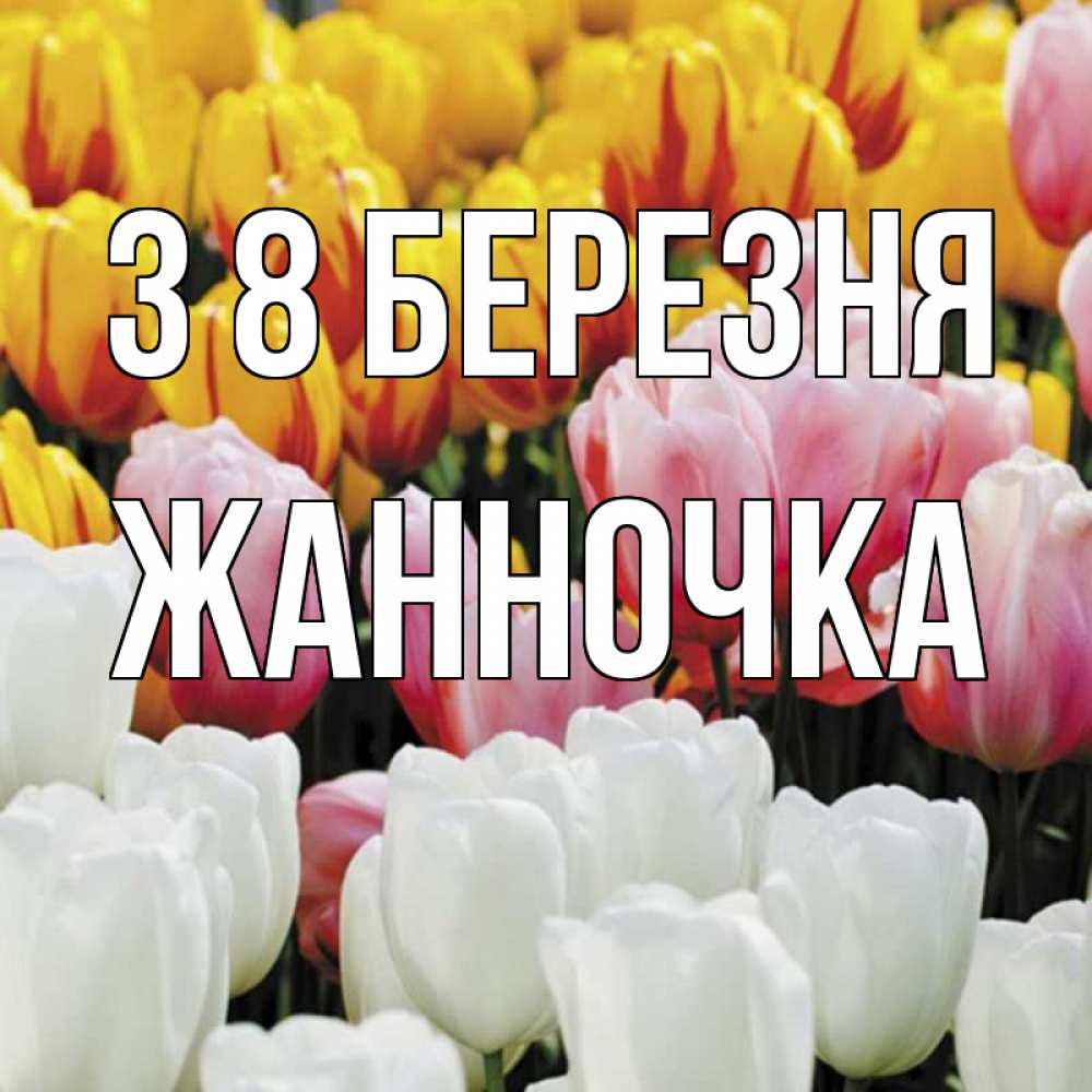 Открытка на каждый день з підписом, Жанночка З 8 БЕРЕЗНЯ разноцветные цветы Прикольна листівка з побажанням онлайн скачати безкоштовно 