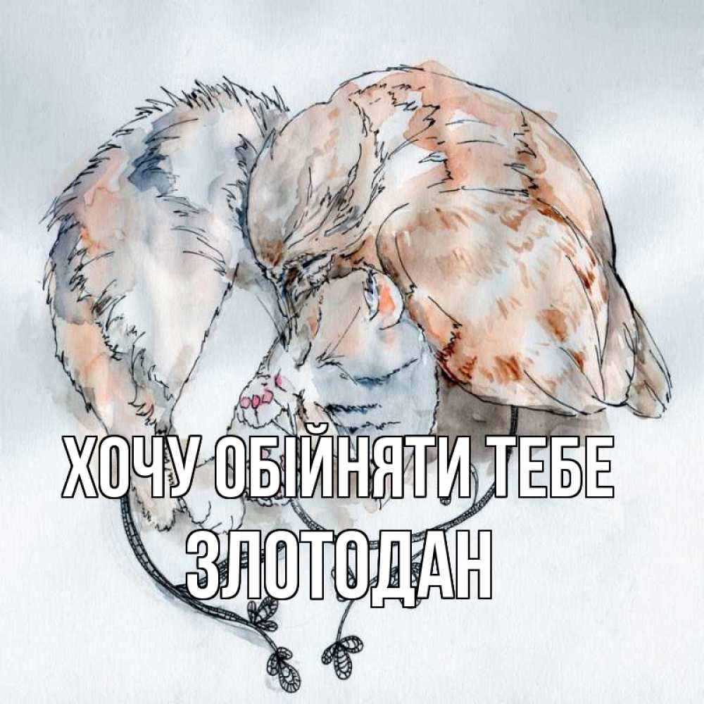 Листівка Хочу обійняти тебе, Злотодан