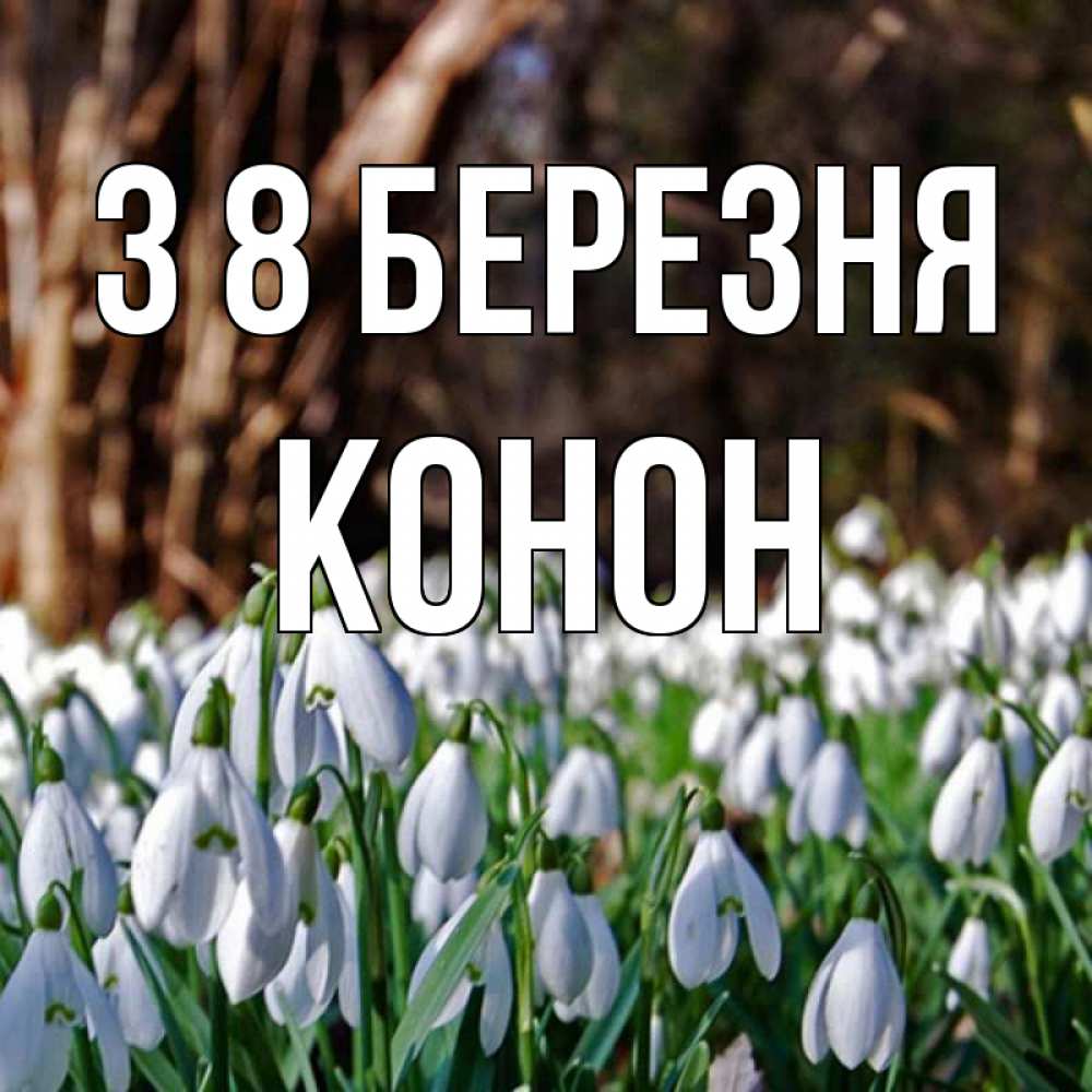Открытка на каждый день з підписом, Конон З 8 БЕРЕЗНЯ с подснежниками 1 Прикольна листівка з побажанням онлайн скачати безкоштовно 