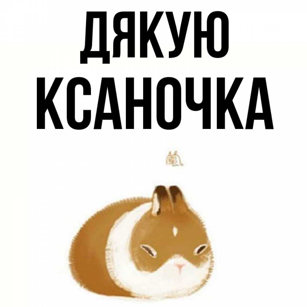 Открытка на каждый день з підписом, Ксаночка Дякую коричнево белый домашний питомец Прикольна листівка з побажанням онлайн скачати безкоштовно 