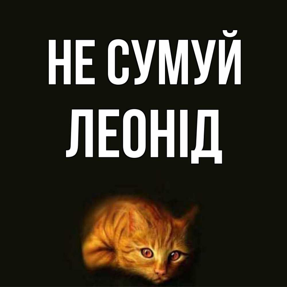 Открытка на каждый день з підписом, Леонід Не сумуй лежащий кот в темноте Прикольна листівка з побажанням онлайн скачати безкоштовно 