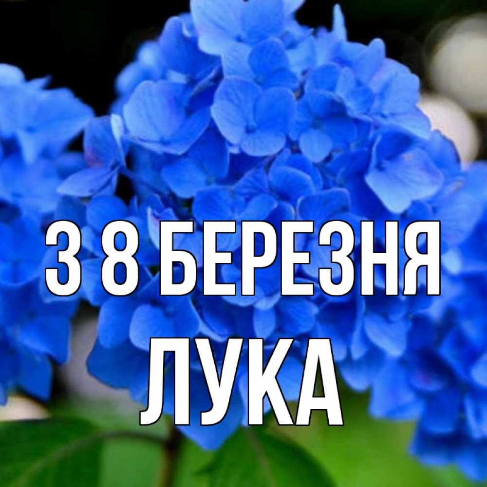 Открытка на каждый день з підписом, Лука З 8 БЕРЕЗНЯ синие цветы Прикольна листівка з побажанням онлайн скачати безкоштовно 