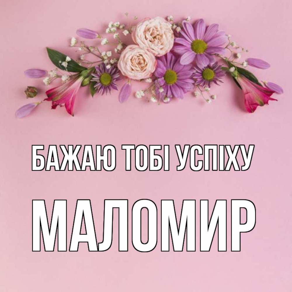 Открытка на каждый день з підписом, Маломир Бажаю тобі успіху розовый фон Прикольна листівка з побажанням онлайн скачати безкоштовно 