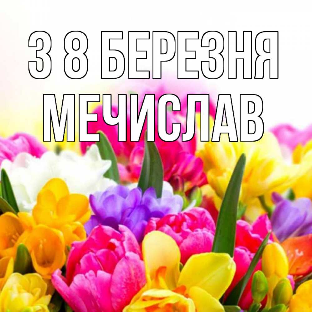 Открытка на каждый день з підписом, Мечислав З 8 БЕРЕЗНЯ тюльпаны Прикольна листівка з побажанням онлайн скачати безкоштовно 