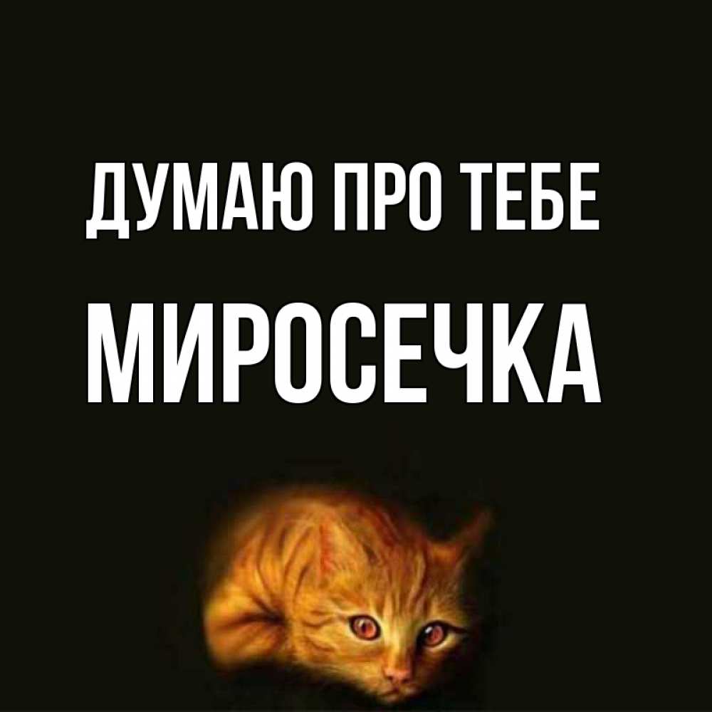 Открытка на каждый день з підписом, Миросечка Думаю про тебе рыжий Прикольна листівка з побажанням онлайн скачати безкоштовно 