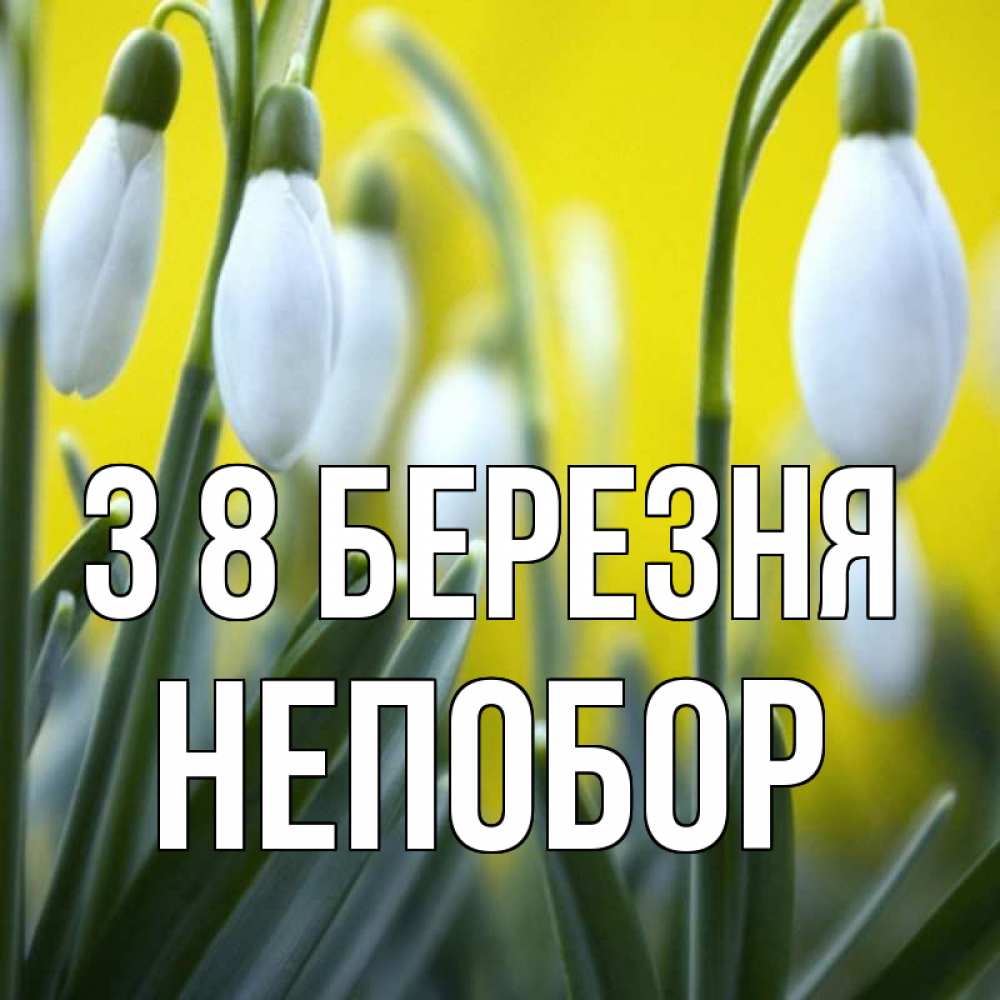 Открытка на каждый день з підписом, Непобор З 8 БЕРЕЗНЯ весенние цветы Прикольна листівка з побажанням онлайн скачати безкоштовно 
