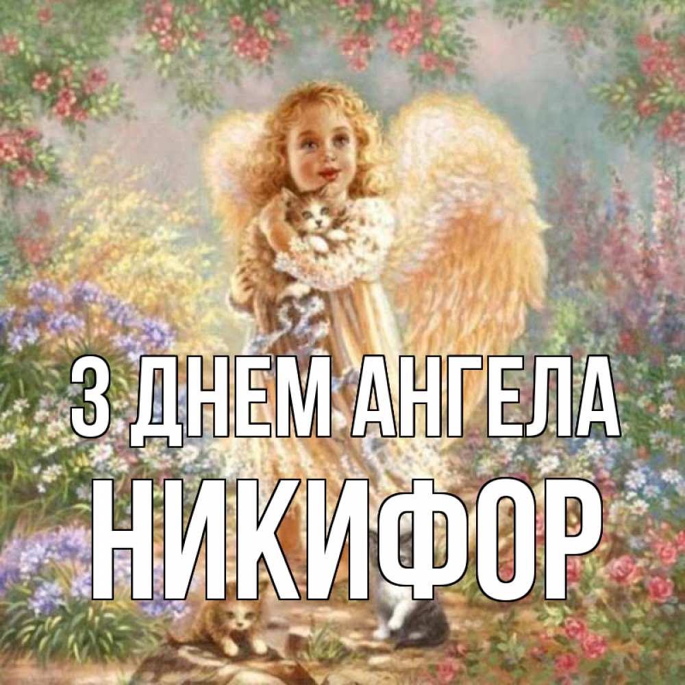 Открытка на каждый день з підписом, Никифор З Днем ангела держит котенка Прикольна листівка з побажанням онлайн скачати безкоштовно 