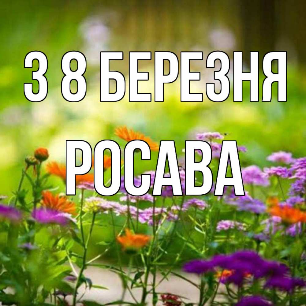 Открытка на каждый день з підписом, Росава З 8 БЕРЕЗНЯ цветы Прикольна листівка з побажанням онлайн скачати безкоштовно 