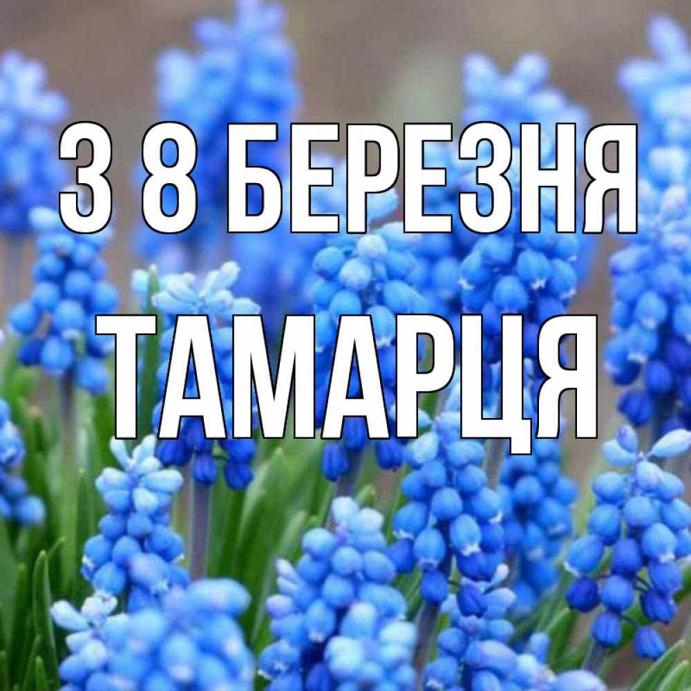 Открытка на каждый день з підписом, Тамарця З 8 БЕРЕЗНЯ Поздравительная открытка для женщин с цветами на праздничную дату Прикольна листівка з побажанням онлайн скачати безкоштовно 