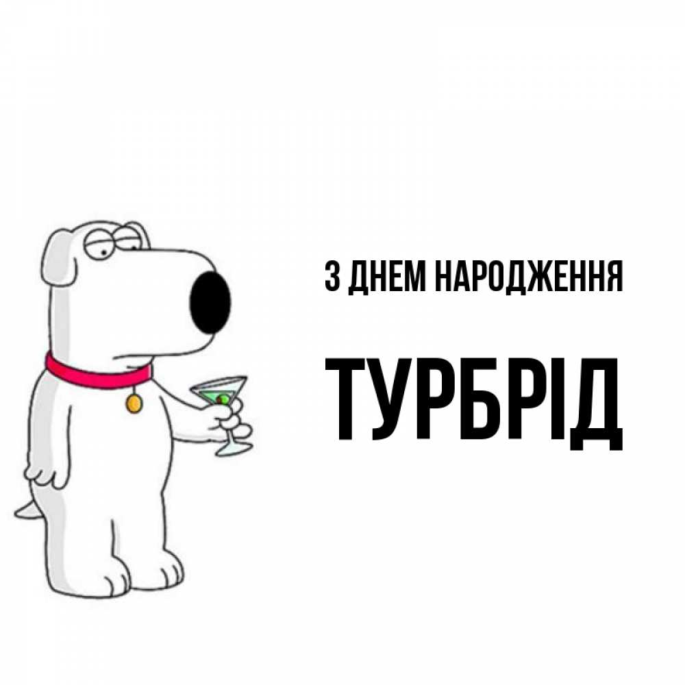 Открытка на каждый день з підписом, Турбрід З Днем народження песик с оливками Прикольна листівка з побажанням онлайн скачати безкоштовно 